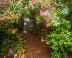 landscaping fence gate is focal point of beautiful landscape picture